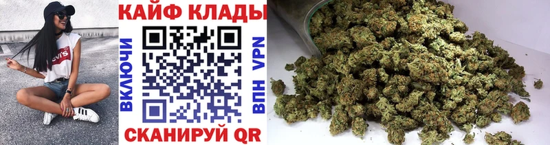 Как найти наркотики Североморск Каннабис Кокаин Гашиш