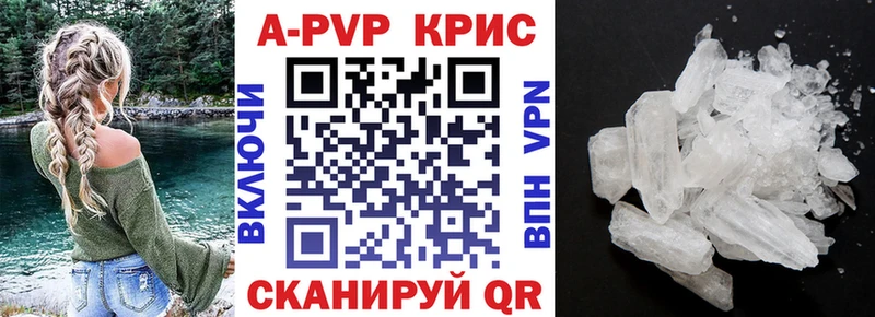 A PVP СК  Североморск 
